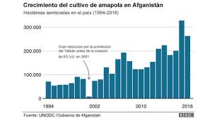 Toma nota de los recientes avances en la lucha contra la producción de opio y de la reducción de esa producción, sigue preocupado por el grave perjuicio que el cultivo de la adormidera y la producción, el tráfico y el consumo de opio siguen causando a la seguridad, el desarrollo y la gobernanza en el afganistán, así como a nivel regional. Por Que Estados Unidos Perdio La Guerra Contra El Opio En Afganistan Tras Gastar Us 1 500 Millones Bbc News Mundo