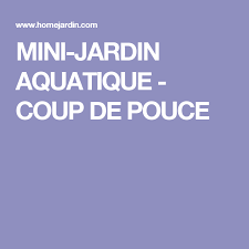 Mini Jardin Aquatique Coup De Pouce Mini Jardins Jardin Aquatique Jardins