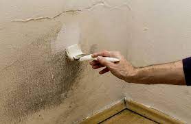 Da muss aber der vermieter findet man an decken flecken, wird die wohnung inspiziert, wenn man schimmel wird entdecken. 5 Tipps Gegen Feuchtigkeit In Der Wohnung Besser Gesund Leben