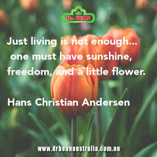Just Living Is Not Enough One Must Have Sunshine Just Living Is Not Enough One Must Have Sunshine Freedom And A Little Flower Hans Christian Andersen Hans Christian Hans Christian Andersen Christian