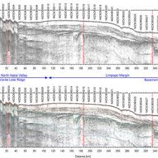 Image result for Eriolaena rulkensii