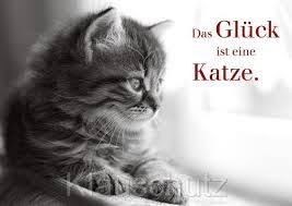 Katzenspruche Katzen Zitate Katzenspruche Katzen