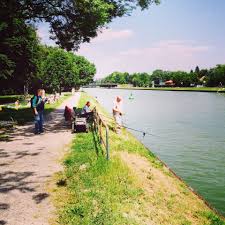 Munster Dortmund Ems Kanal Munster Munsterlander Sommer