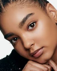 Chanel Shimmering Tweed Highlighter Makeup Blush Powder CHANEL Highlighter  DUO LUMIÈRE EXCLUSIVE CREATION (Illuminating Powder Duo) (