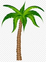 Maybe you would like to learn more about one of these? Coconut Tree Drawing Clipart Drawing Tree Plant Transparent Clip Art