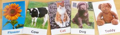 You can choose between having 6 cards or 4 cards per page. How To Make Flash Cards For Baby And Toddlers