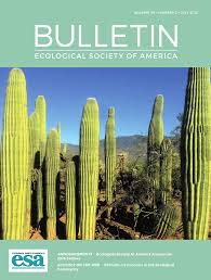 The saguaro's ability to store water is vital. Pdf The Iconic Saguaro Cactus Across Its Landscape