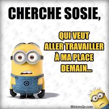 Epingle Par Punaa Sur Citations Minions Amusants Blague Minion Humour Drole