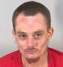 Leesburg man with suspended license arrested with methamphetamine