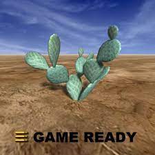 Prolific cactus species in the southwestern us. Low Poly Cactus Beaver Tail 3d Model 6 Obj Max 3ds Free3d