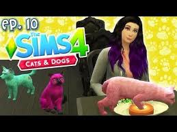 Max out skills, unlock perks for your vet clinic and add traits. Joel Ran Away The Sims 4 Raising Youtubers Pets Ep 9 Cats Dogs Youtube In 2020 Dog Cat Pets Youtubers