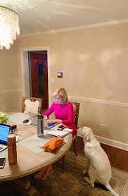 Safety slogan.check your smoke alarms, practice a fire escape plan with your family and keep your house clean. Shannon Bream S Feet Wikifeet