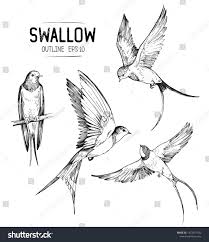 Sketch Of A Flying Swallow Hand Drawn Illustration Converted To Vector Sponsored Ad Sw Em 2020 Tatuagem De Passaros Voando Tatuagem Passaro Coisas Para Desenhar