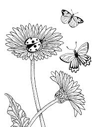 Gerbera Daisies Drawing Drawing By Irina Sztukowski You can edit any of drawings via our online image editor before downloading. gerbera daisies drawing by irina sztukowski