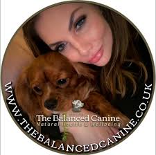 Bravecto Nexgard Comfortis Simparica Trifexis & others Do They Kill Dogs?