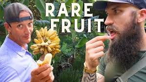 Learn How Agroforestry is Done