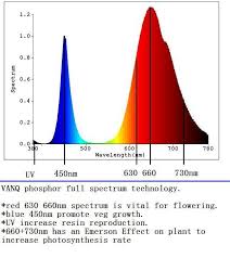 Vanq 600w Led Grow Light Full Spectrum For Autoflower