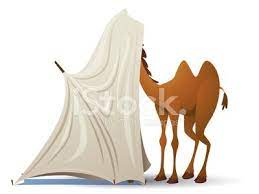 1)camels live in the desert,don't they? Camel In The Tent Vector Images And Illustration