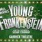 Young Frankenstein - Film