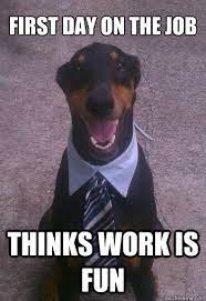 When times are tough, even the dog gets a job. Funny Dog Dogs With Jobs Job Memes Funny Poses