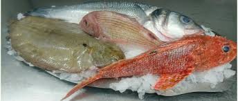 Cosy Restaurant Interesting Menu Great Fish Review Of Restaurant De La Marine Narbonne Plage France Tripadvisor