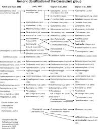 Image result for Gelrebia glandulosopedicellata