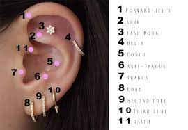 The Ear Piercings Guide The Belle Avenue Pretty Ear Piercings Ear Piercings Conch Minimalist Ear Piercings
