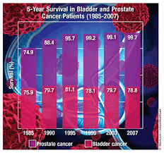 Comparison Of Prostate And Bladder Cancer Prevalence And Survival