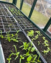 Image result for site:byggahus.se Classicum