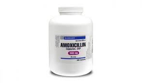 Generic versions of amoxicillin cost about 13 to 22 dollars, depending on the generic version your pharmacy uses. Amoxicillin For Pets Dosage General Information Petcoach