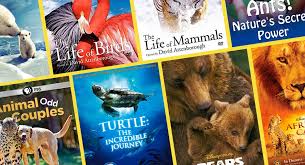 We did not find results for: Best Nature Documentaries For Kids Toddlers And Older Fatherly