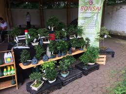 At the 20th edition of the consumer fair it is all about allotment gardens, sun, beach, palm trees and home building. Bild 4 Aus Beitrag Japanisches Sommerfest Im Stadtpark Hannover