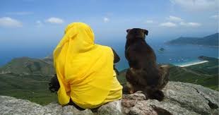 Kerancuan mengenai kisah pelacur yang masuk surga. Memberi Minum Seekor Anjing Wanita Pelacur Masuk Surga Bacaan Madani Bacaan Islami Dan Bacaan Masyarakat Madani
