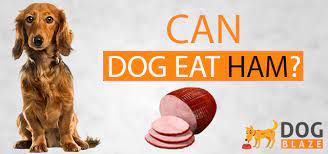 Can Dogs Eat Ham Ham Specially Cover The Meat Food Feature Can Dogs Eat Dog Eating Dog Food Brands