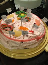 Another tasty edible cell model option is a cookie cell model. Animal Cell Cake 12 Organelles Cells Project Cake Organelles