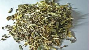 Coba perhatikan, apakah moms dan keluarga terbiasa minum teh setelah makan? Awalnya Pria Ini Beli Teh Herbal Lewat Internet Tapi Nasibnya Malah Tragis Dipenjara 10 Tahun Halaman All Tribunstyle Com