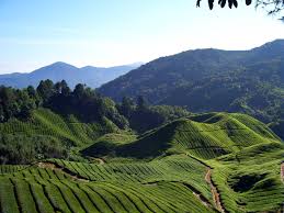 How far is kuala lumpur to cameron highlands? Cameron Highlands Wikipedia