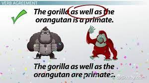 Maybe you would like to learn more about one of these? As Well As Meaning Comma Usage Example Sentences Video Lesson Transcript Study Com