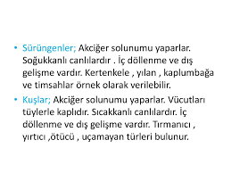 Yakin Cevremizdeki Organizmalar Ppt Indir