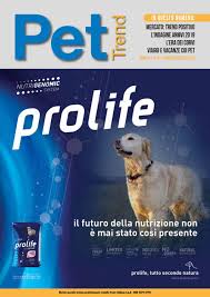 Se volete una animale di compagnia, più del cane e del gatto, potreste provare ad allevare un merlo indiano. Pettrend Luglio Agosto 2019 By E V Soc Cons A R L Issuu