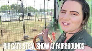 On Assignment with Anelia: Big cats steal show at '21 Bremer County Fair:  The Tiger Encounter