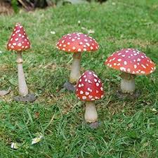 Nella sezione troverai numerosi approfondimenti sul fantastico mondo dei funghi. Gardens2you Set 4 Funghi Ornamentali Da Giardino In Resina Ornamenti Da Giardino Funghi Da Giardino Funghi Ripieni
