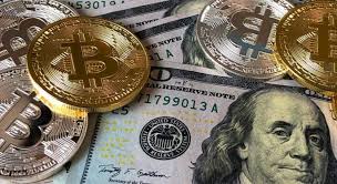 July 2021 10:14 pm (gmt). How Many Bitcoin Will 5000 Naira Buy Bitcoin Come Down To 5 000 I Need To Buy So You Ve Converted 5000 Us Dollar To 0 125290 Bitcoin