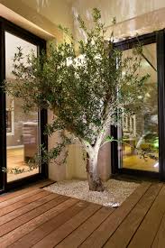 Suresnes Jardin Moderne Par Ad Concept Gardens Moderne Homify En 2020 Jardin Moderne Jardin Contemporain Image De Jardin