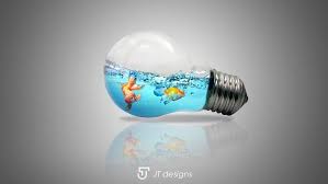 Fish Trapped In Light Bulb Light Bulb Photoshop Art Bulb