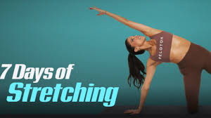 Image result for Stretching Program