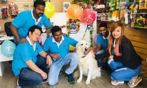 Check spelling or type a new query. Boarding Kennels Sharjah Save Up To 70 At Groupon Ae