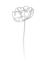 Pin By A On Tattoo In 2021 Line Art Drawings Flower Art Line Art