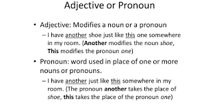 Nouns are a part of speech typically denoting a person, place, thing, animal or idea. Can You Identify Nouns Pronouns And Adjectives Proprofs Quiz