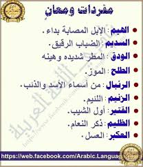 Pin By Saad Sultan On الشعر والأدب In 2020 Beautiful Arabic Words Funny Arabic Quotes Learning Arabic